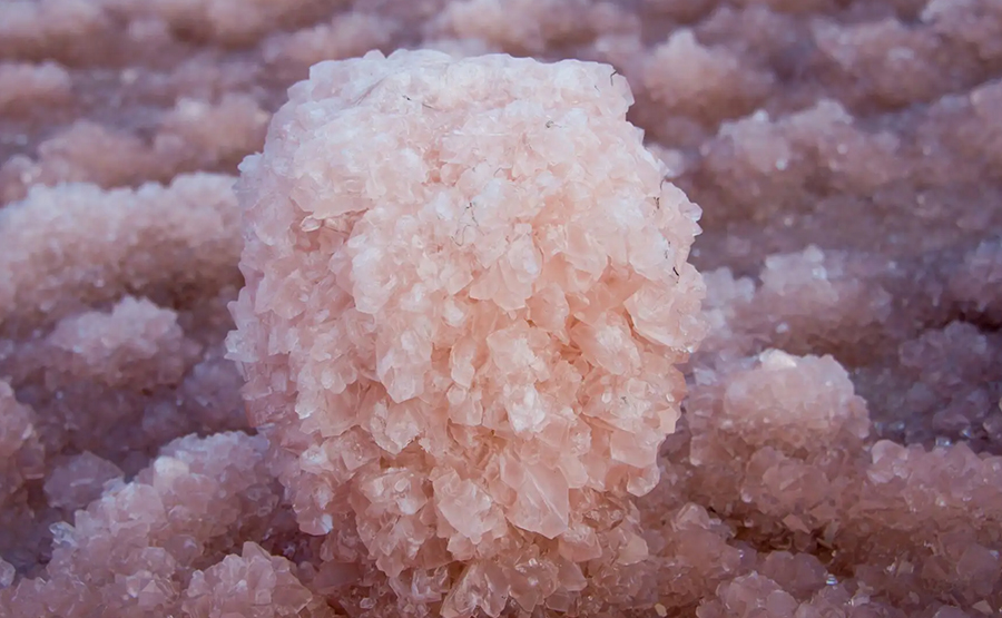 塑料原料粉末脫水技術與設備運行實踐